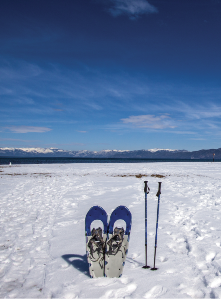 Screenshot 2026-01-23 at 2.51